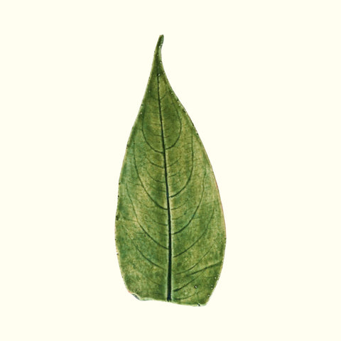 Pottery Leaf - Medium