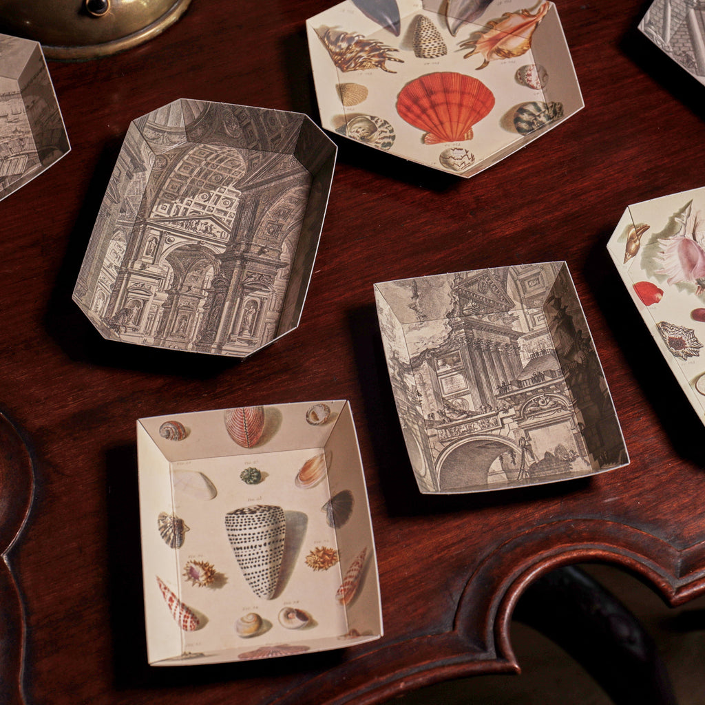 New Portable Paper Tray Packs Now Available Wholesale