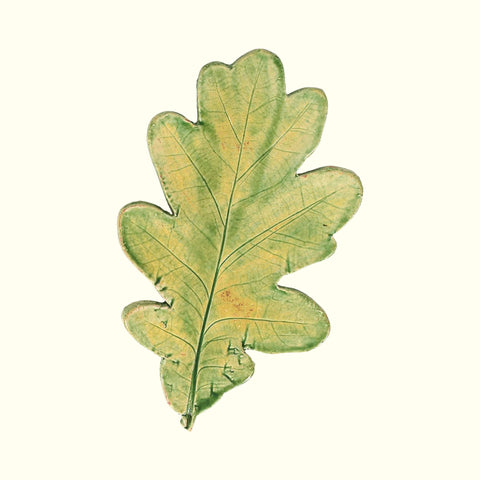 Pottery Leaf - Oak Medium