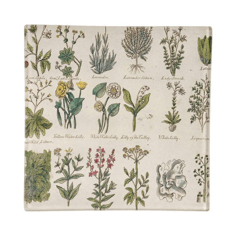 6” Culpeper's Herbs Decoupage Tray