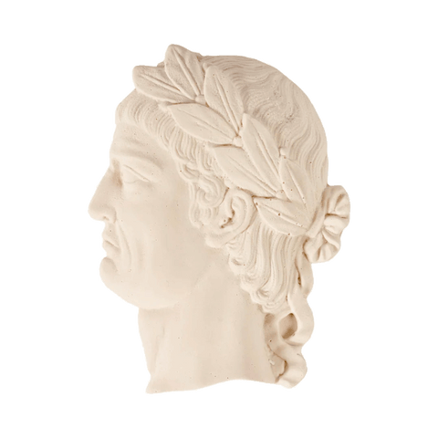 Roman Emperor - Aulus Vitellius